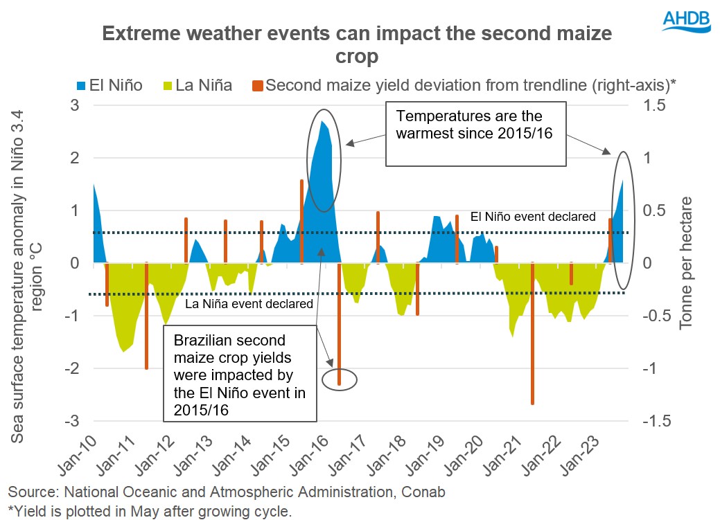 A graph showing El Nino and La Nina weather events against Brazilian maize yields